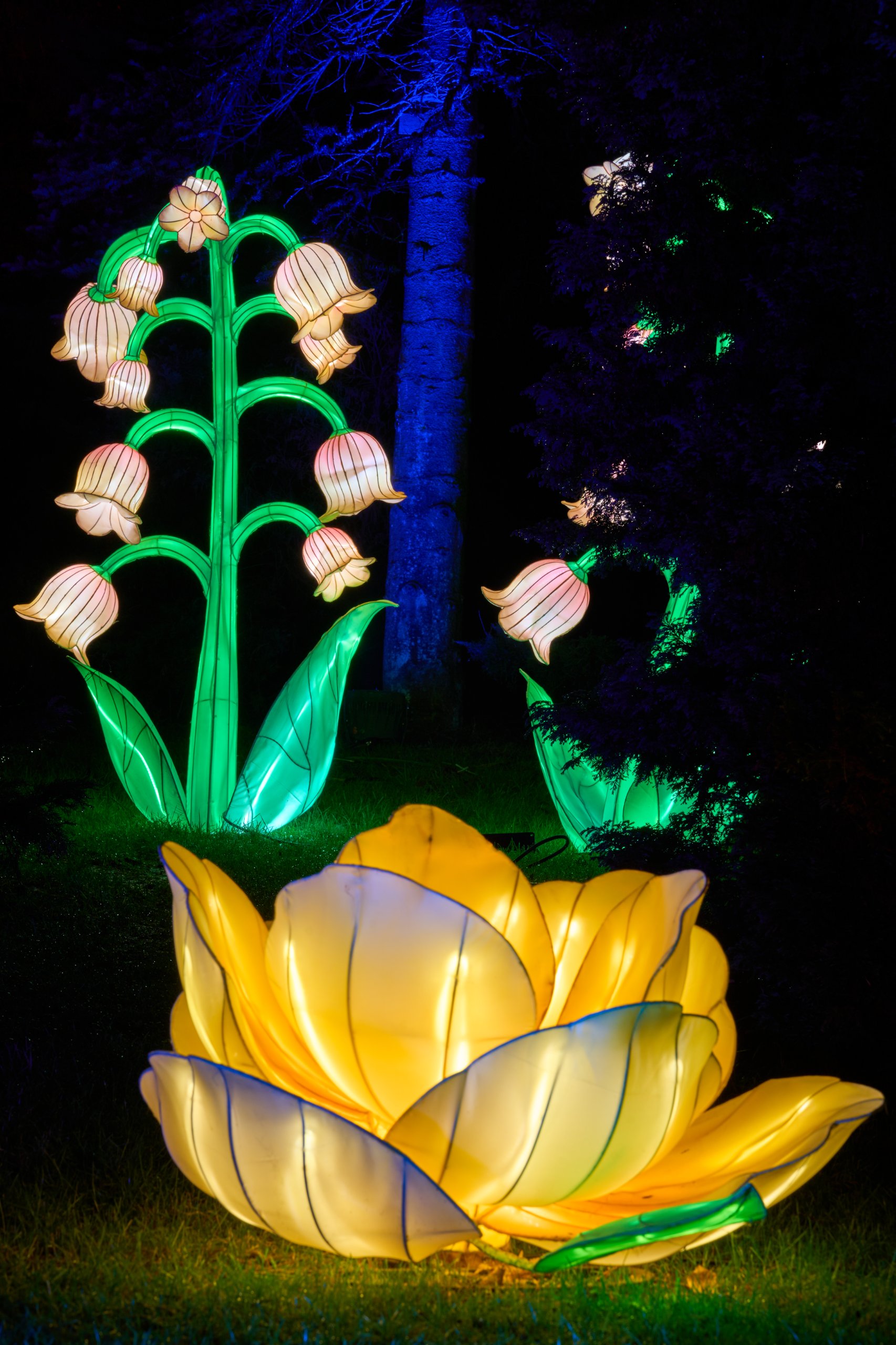 2026 02 03 Parkleuchten 0280